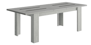 Table rectangulaire 1 allonge