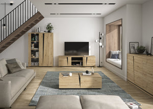 Meuble TV 2 portes