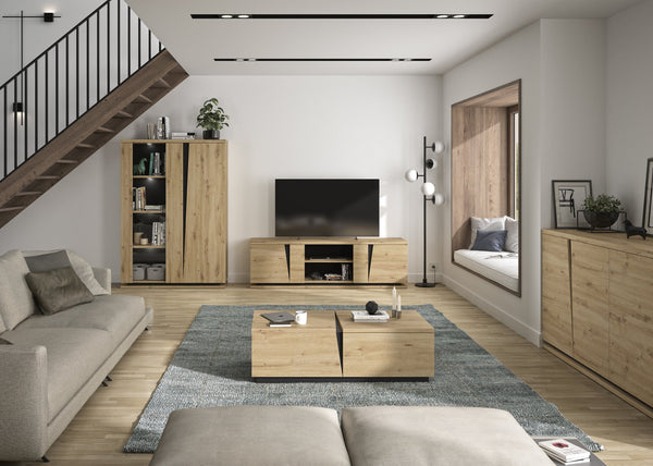 Meuble TV 2 portes